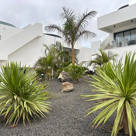 Mariposa Blanca Villaverde